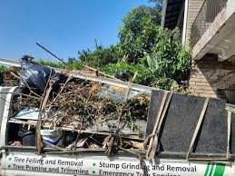 Best Junk Removal for Events  in Santa Paula, CA